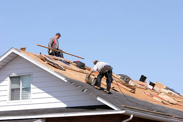 Best Metal Roofing Installation  in Paradise Hills, NM
