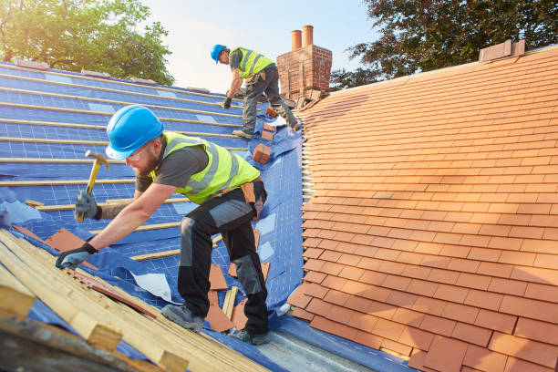 Best Chimney Flashing Repair  in Paradise Hills, NM
